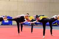 TGA Gymnastics 