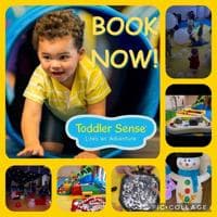 Toddler Sense - Fleet 