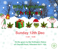 Wild Families Christmas - Aldershot
