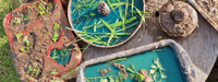 Acorn and Oak Family Forest Workshop -The Forest Approach - Hartley Wintney