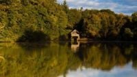 Guided walks National Trust - Winkworth Arboretum
