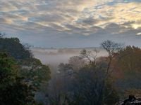 Easter egg hunts at Winkworth Arboretum - Godalming