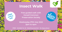 Insect walk - Horsell Common
