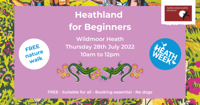 Heathland for Beginners - Wildmoor Heath - Crowthorne