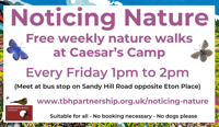 Noticing nature Walk: Caesar’s Camp - Farnham