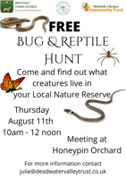 Free Bug and reptile hunt - Bordon