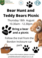 Free Bear hunt and teddy bears picnic- Bordon