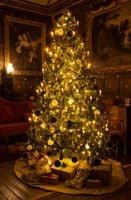 Christmas at The Vyne - Basingstoke