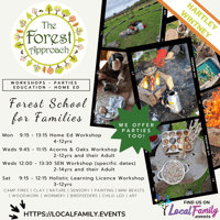 Christmas Workshop -The Forest Approach - Hartley Wintney