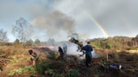 Conservation Volunteers Work Party - Yateley