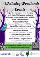 Wellesley Woodlands Winter Wildlife Walk - Aldershot