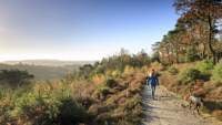 National Trust - Easter trail at Hindhead Commons and the Devil's Punch Bowl