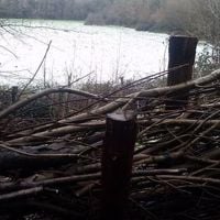 Rowhill Bat Talk - Farnham
