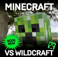 Outdoors project Minecraft Day with Weapons & Model Workshop holiday camps - Crowthorne