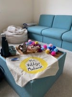 Antenatal 1 to 1 sessions The Village Midwife North Hampshire - in your home