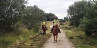 Sponsored Halloween Ride on Chobham Common for Riding for the Disabled - Chobham