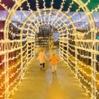 Christmas at Henry Street Garden Centre - Arborfield