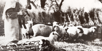 Home education session - Are You Sitting Comfortably Rural life, Living Museum