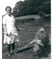 Home education session - Exploring the roots of Farming with Rural life, Living Museum
