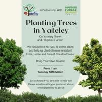 Planting Tree's in Yateley