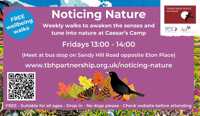 Noticing Nature weekly walks - Farnham