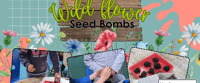 Seed bombs at Alice Holt - Farnham