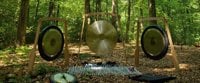 Soundbathing Alice Holt Forest
