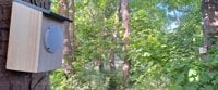 Your Sonic Forest at Alice Holt - Farnham