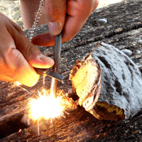 Survival Fun Primary Science Holiday Camp - Alton