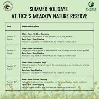 pebble painting at Tice's Meadow Family summer nature activities - Farnham