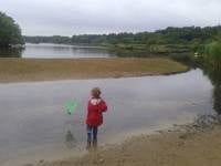 Fleet-Pond Nature reserve 