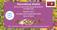 Marvellous moths with TBH Partnership in Woking