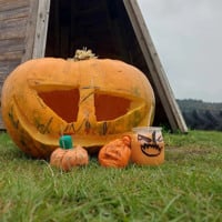 Pumpkin Carving Workshop Forest Workshop -The Forest Approach - Hartley Wintney