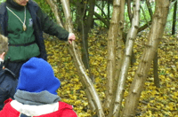 Basingstoke Wildlife Watch – A Practical Session of Traditional Woodland Management - Basingstoke