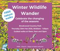 Winter Wildlife Wander with TBH Partnership in Brookwood