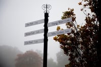 Savill Garden Junior Park Run Sundays 08:50 - Windsor