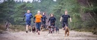 CaniCross Couch to 5K Alice Holt Forest - Farnham