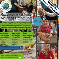 Animal Handling | Fleet One World Animals - Family event in Key Centre, The Key, Elvetham Heath, Fleet, GU51 1HA