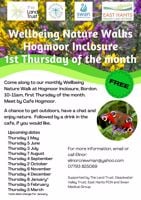 Wellbeing Nature Walk - Hogmore 