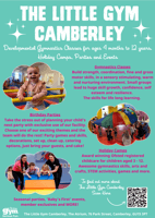 Birthday Party slot The Little gym Camberley
