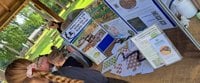 Amphibian and Reptile Day Alice Holt - Farnham