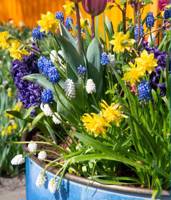 Pots for All seasons AT WEST GREEN HOUSE - Hartley Wintney