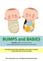 Noah’s Ark - Elvetham Heath