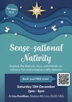 Sense-sational Nativity story - Liss