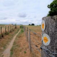 Health Walk -Yateley