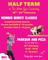 Gymnastics Holiday camps for 5-12yrs The Little gym Camberley