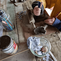 Preschool Forest workshop The Forest Approach Limited - Hartley Wintney