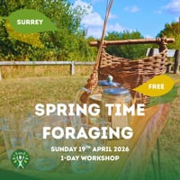 Forage Workshop - Elstead