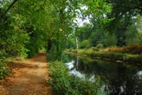 Health Walk | Wellesley 