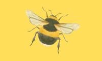 Bug Hunt | Military Museum | Aldershot